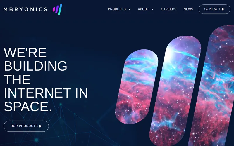 Website snapshot for Mbryonics