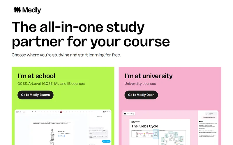 Website snapshot for Medly AI