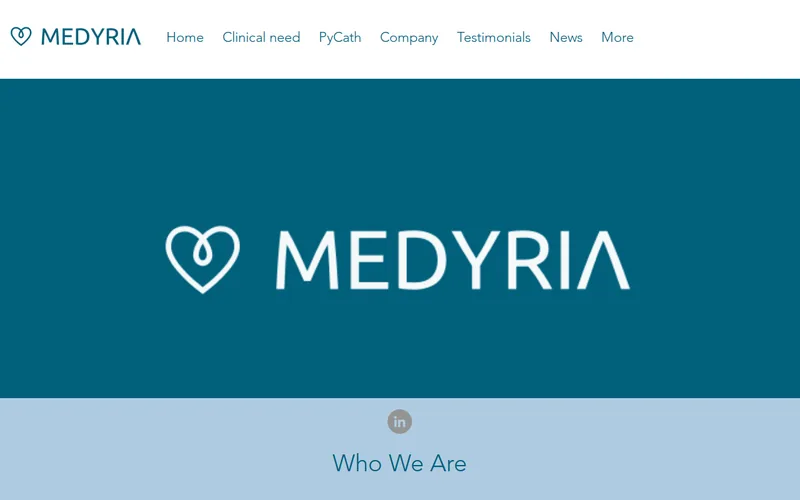 Website snapshot for Medyria