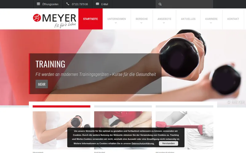 Website snapshot for Meyer Burger