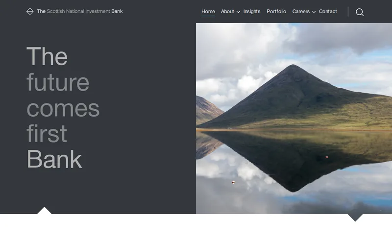 Website snapshot for Mironid