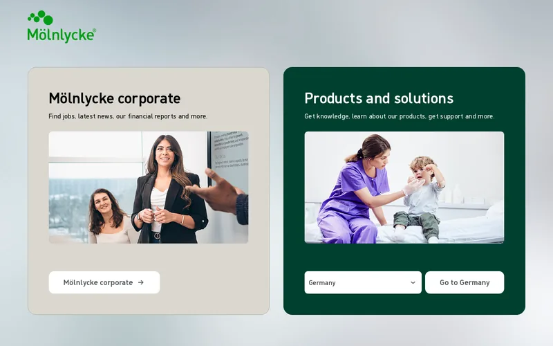Website snapshot for Molnlycke