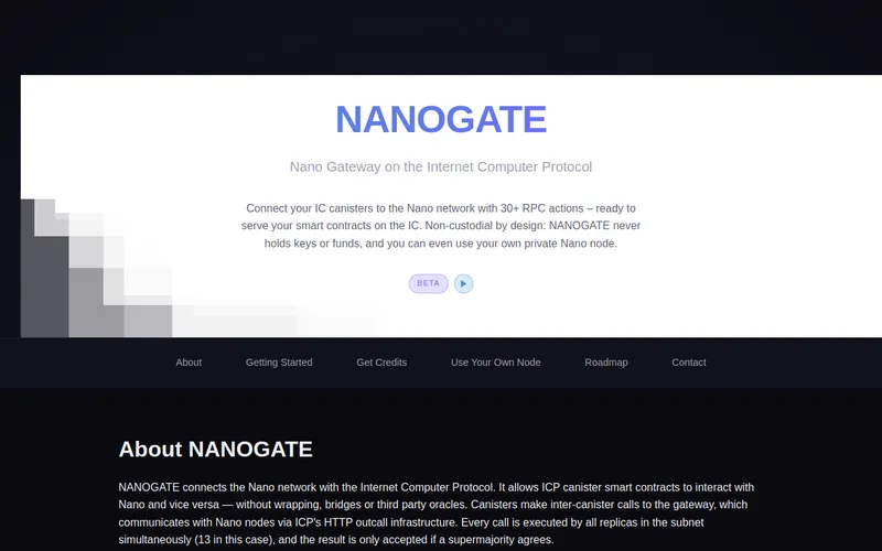 Website snapshot for Nanogate