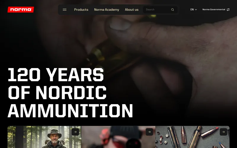 Website snapshot for NORMA