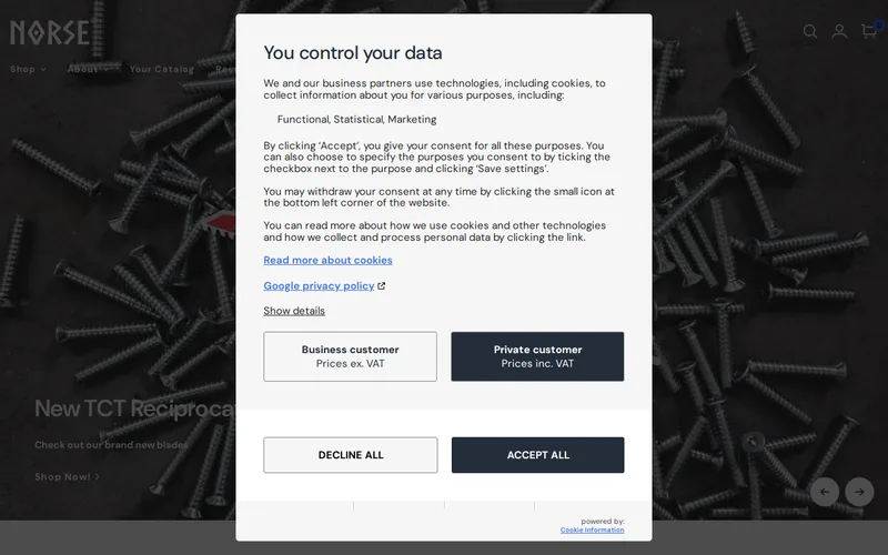 Website snapshot for Norse Digital