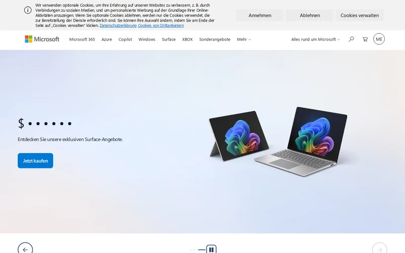 Website snapshot for OpenPayd