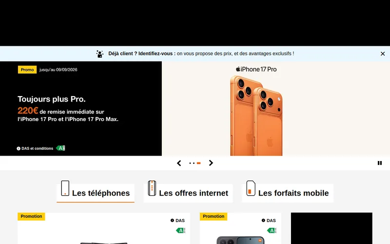 Website snapshot for Orange
