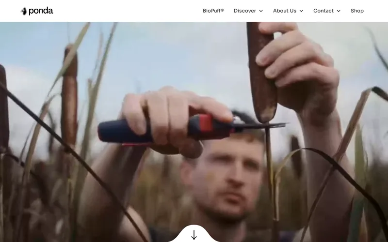 Website snapshot for Ponda