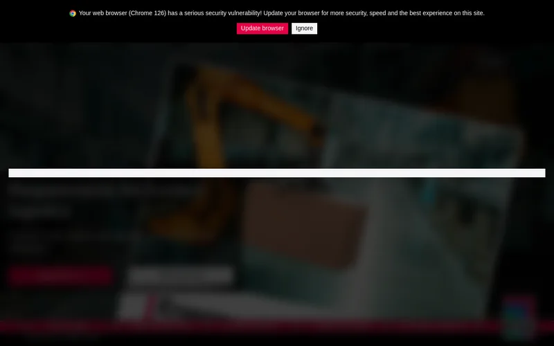 Website snapshot for Rittal
