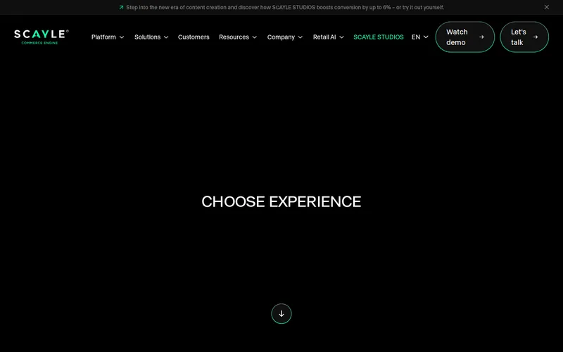 Website snapshot for Scayle