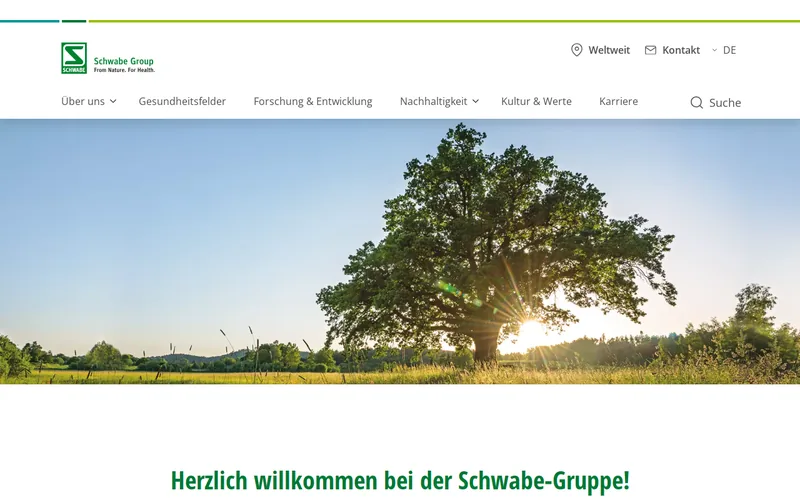 Website snapshot for Schwabe Group