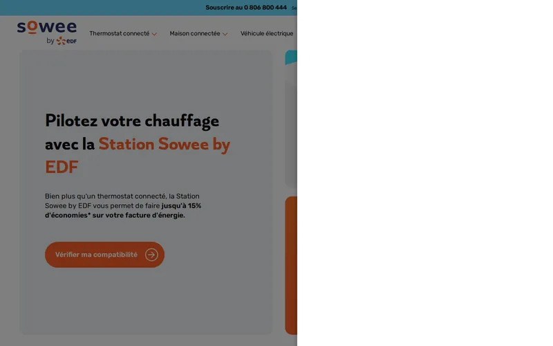 Website snapshot for Sowee