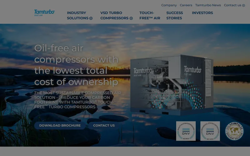 Website snapshot for Tamturbo