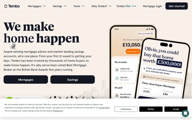Website snapshot for Tembo Money