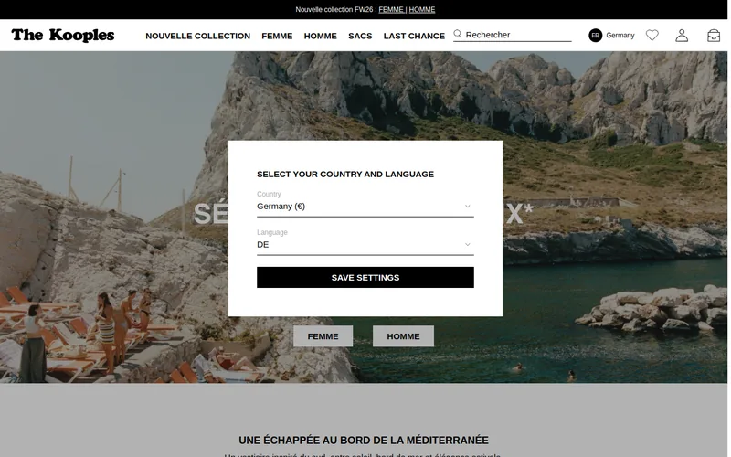 Website snapshot for The Kooples