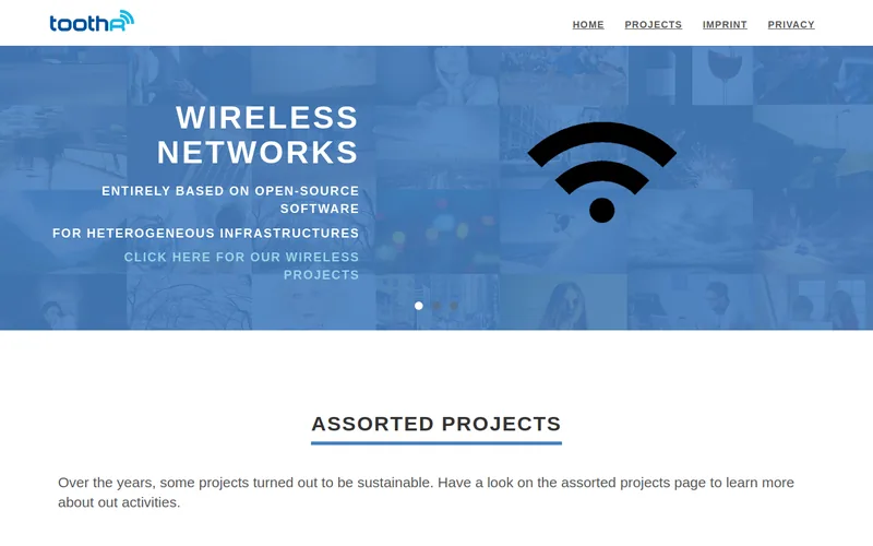 Website snapshot for toothR new media GmbH