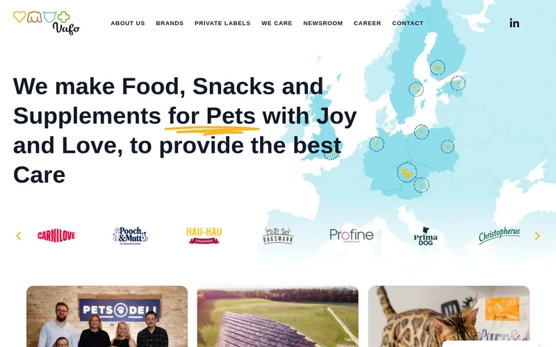Website snapshot for VAFO Group