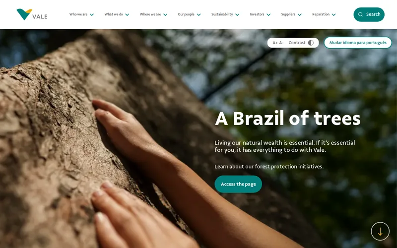 Website snapshot for Vale