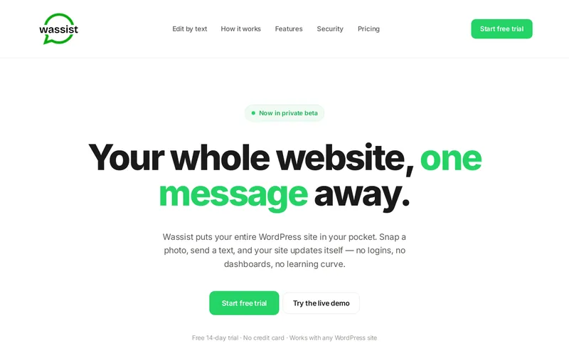 Website snapshot for Wassist