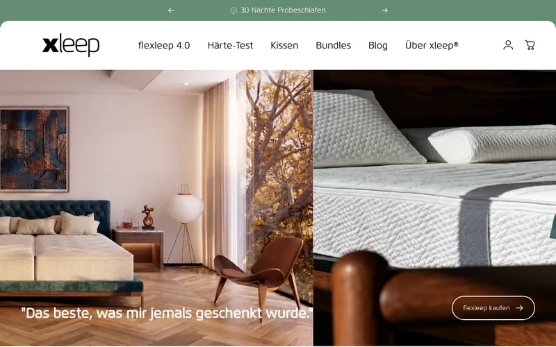 Website snapshot for Xleep