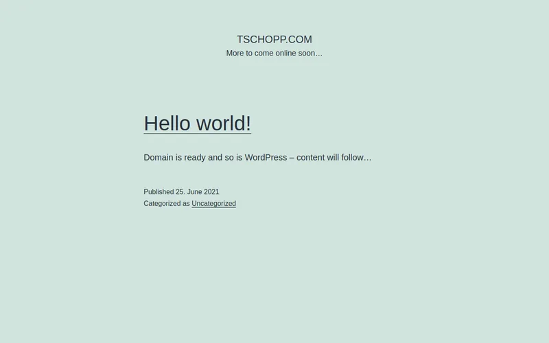 Website snapshot for Tschopp Group AG