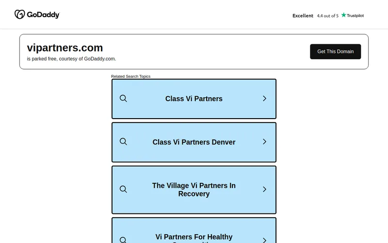 Website snapshot for VI Partners