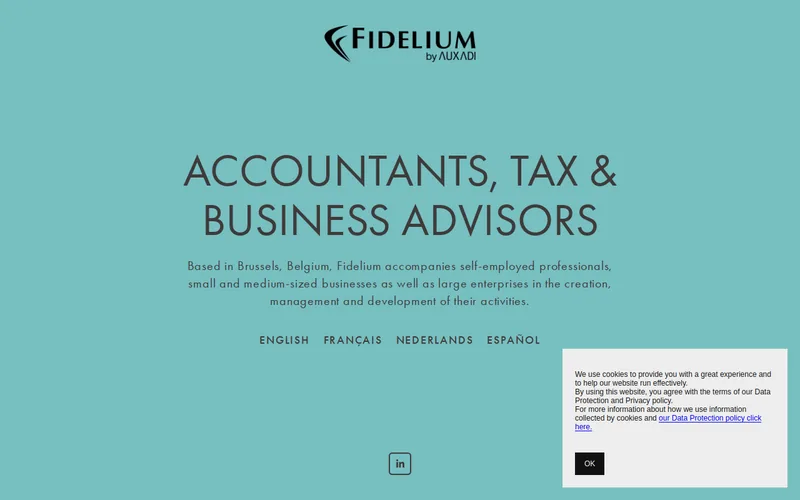 Website snapshot for Fidelium GmbH