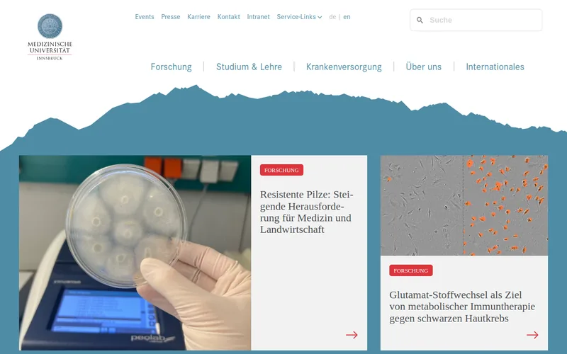 Website snapshot for Innsbruck Medical University