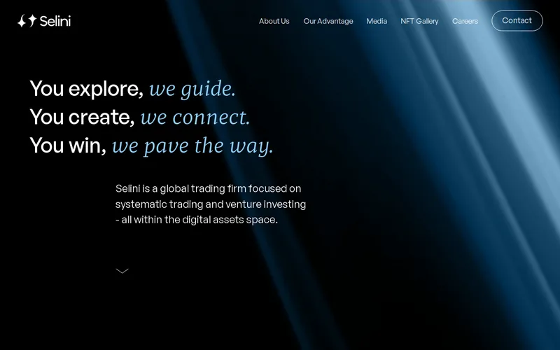 Website snapshot for Selini Capital